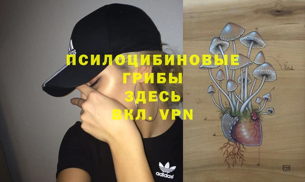 мескалин Вяземский