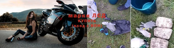 сатива Волосово